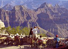 South Rim Grand Canyon National Park