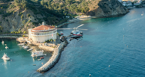 Catalina Zipline Experience