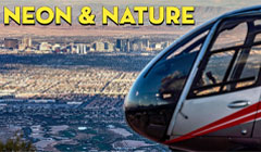 Neon & Nature primary video