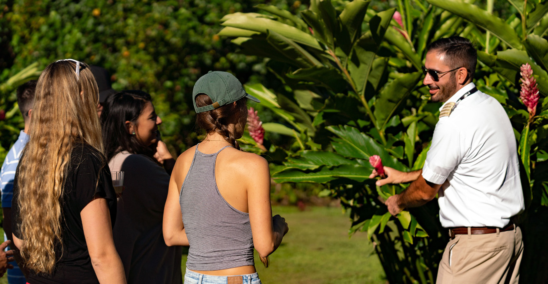 Enjoy a Hana Rainforest interactive tour with Maverick Helicopters